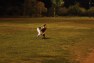 20120424058.jpg